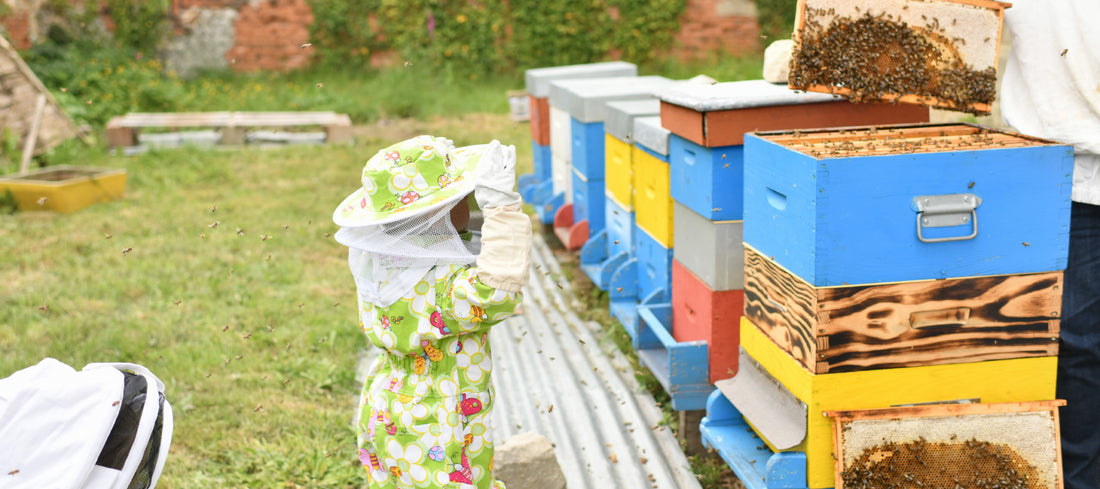 Hochwertiges Bienenwachs für DIY & Kosmetik | Wachsmann Bienenprodukte