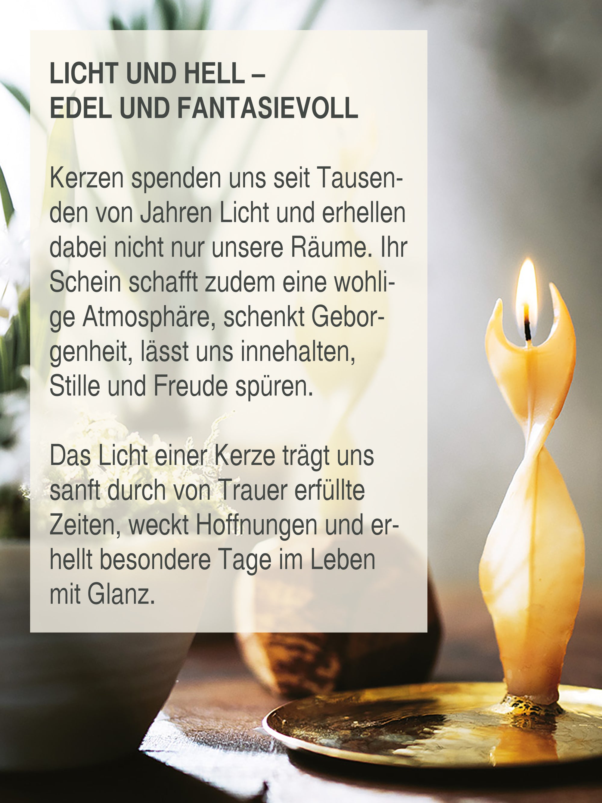 Glanzlichter - Ideen aus der Kerzenwerkstatt von Michèle Brunnmeier & Stephanie Friedrich, gebundenes Buch
