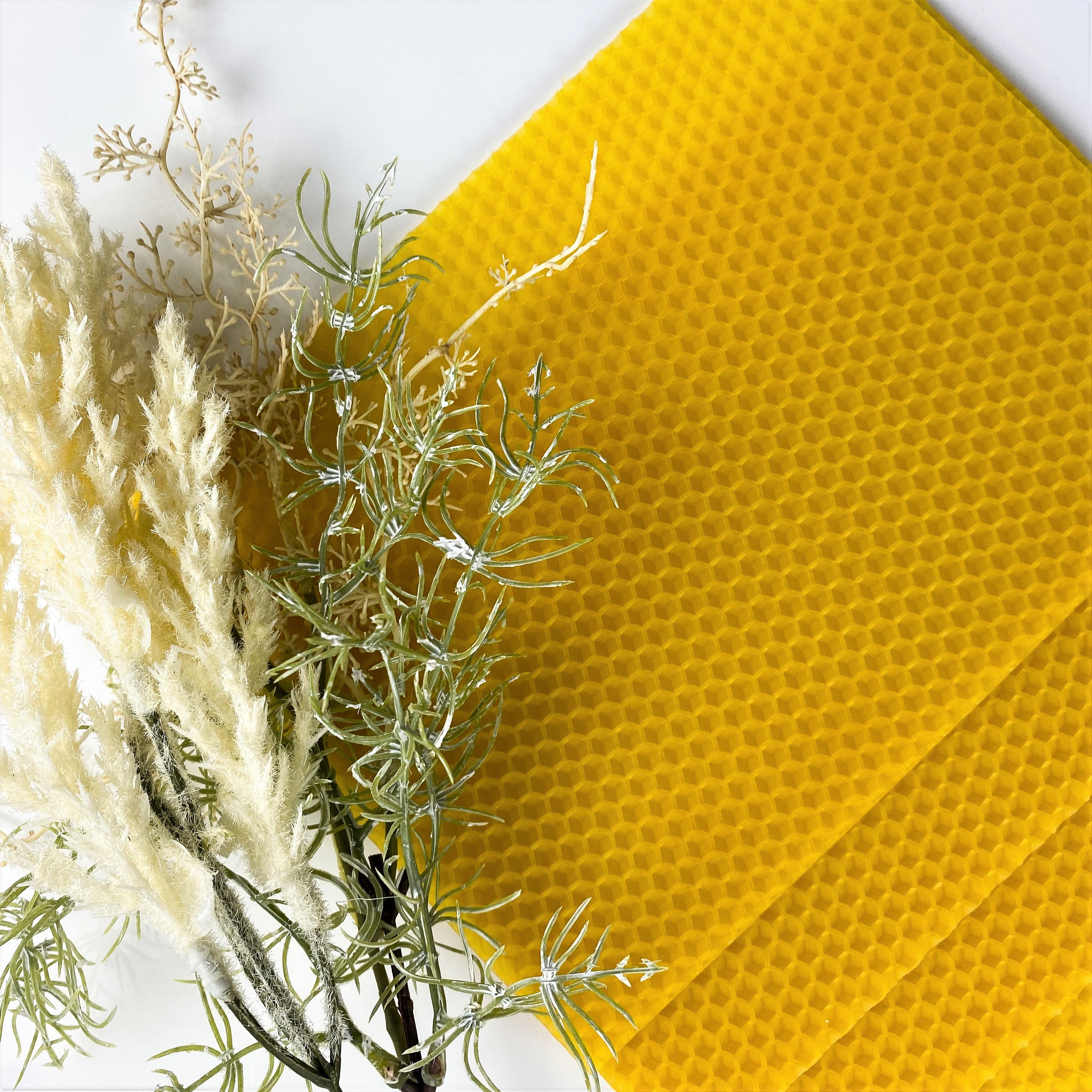 Bienenwachsplatten gelb, 20 Stück, 15 x 20 cm,  aus Deutschland