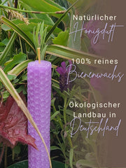 Bienenwachsplatten, 20 Stück, 15 x 20 cm, Wachsplatten aus Deutschland , Flieder