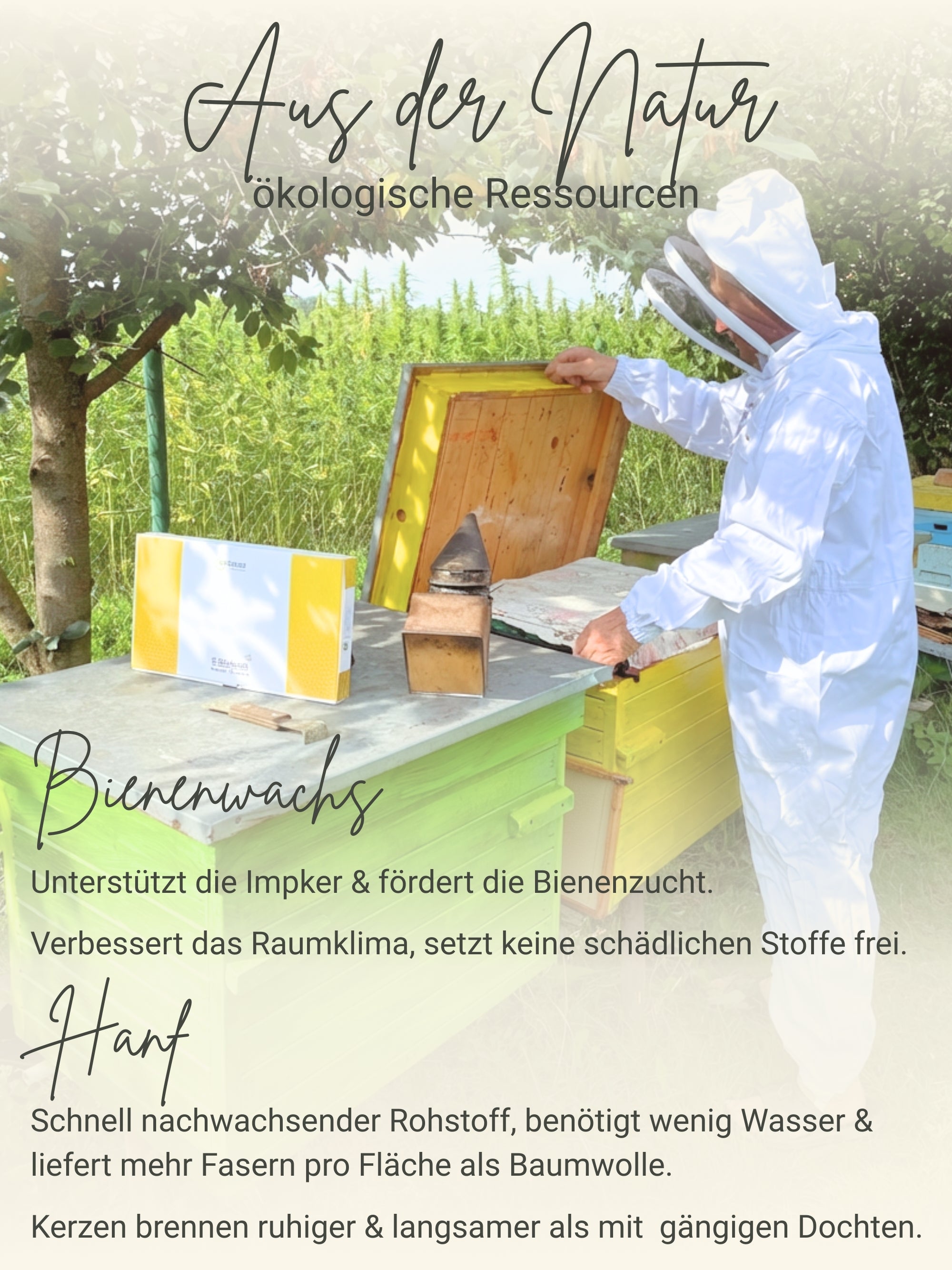 Kerzendochte 100 Stück aus Hanf mit Bienenwachs Mantel und Standfuß , 100 Stück - Ø 3 mm Länge 11 cm