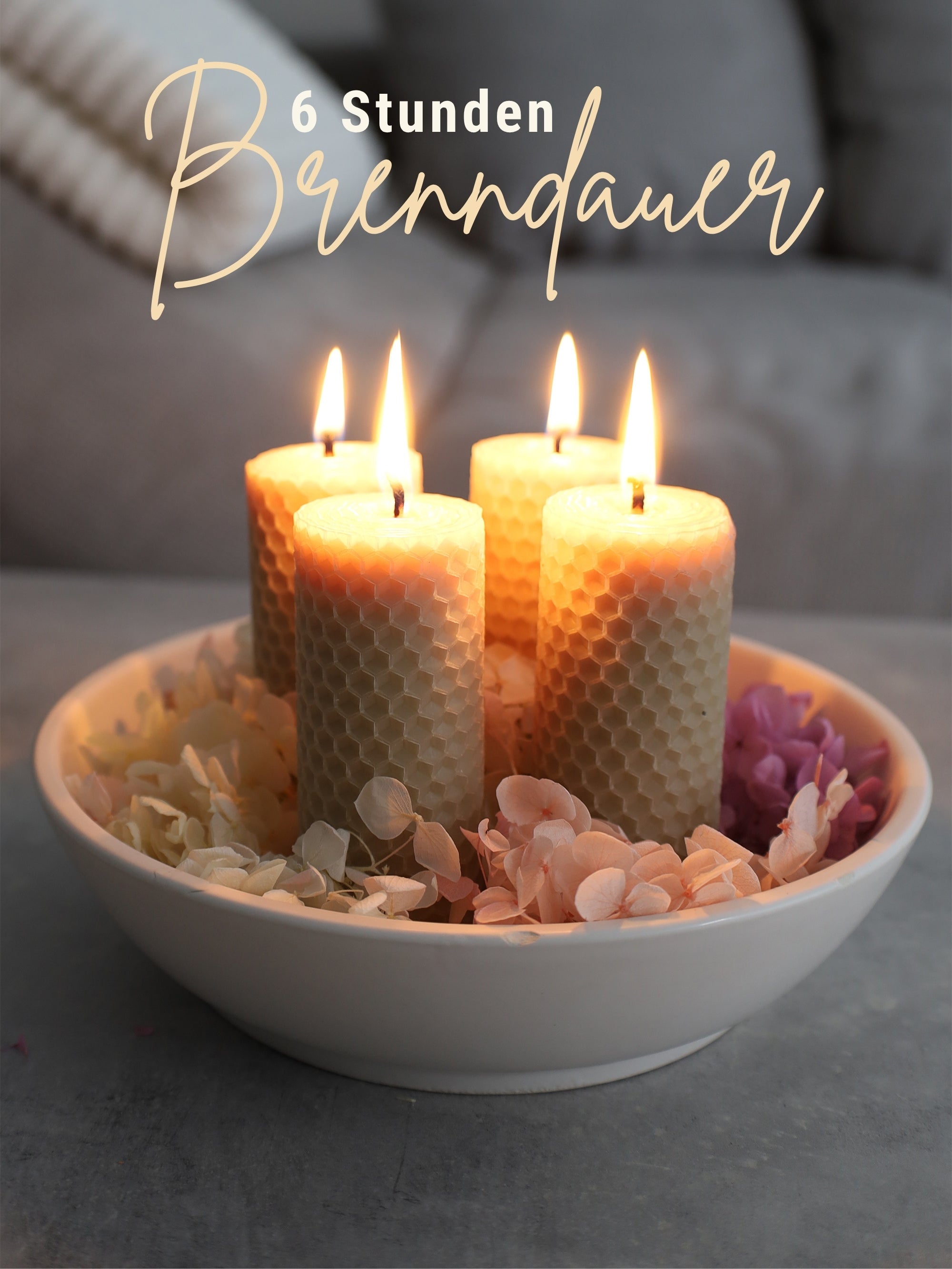 Stumpen Bienenwachsplatten, 20 Stück, 60 x 10 cm, aus Deutschland , Beige