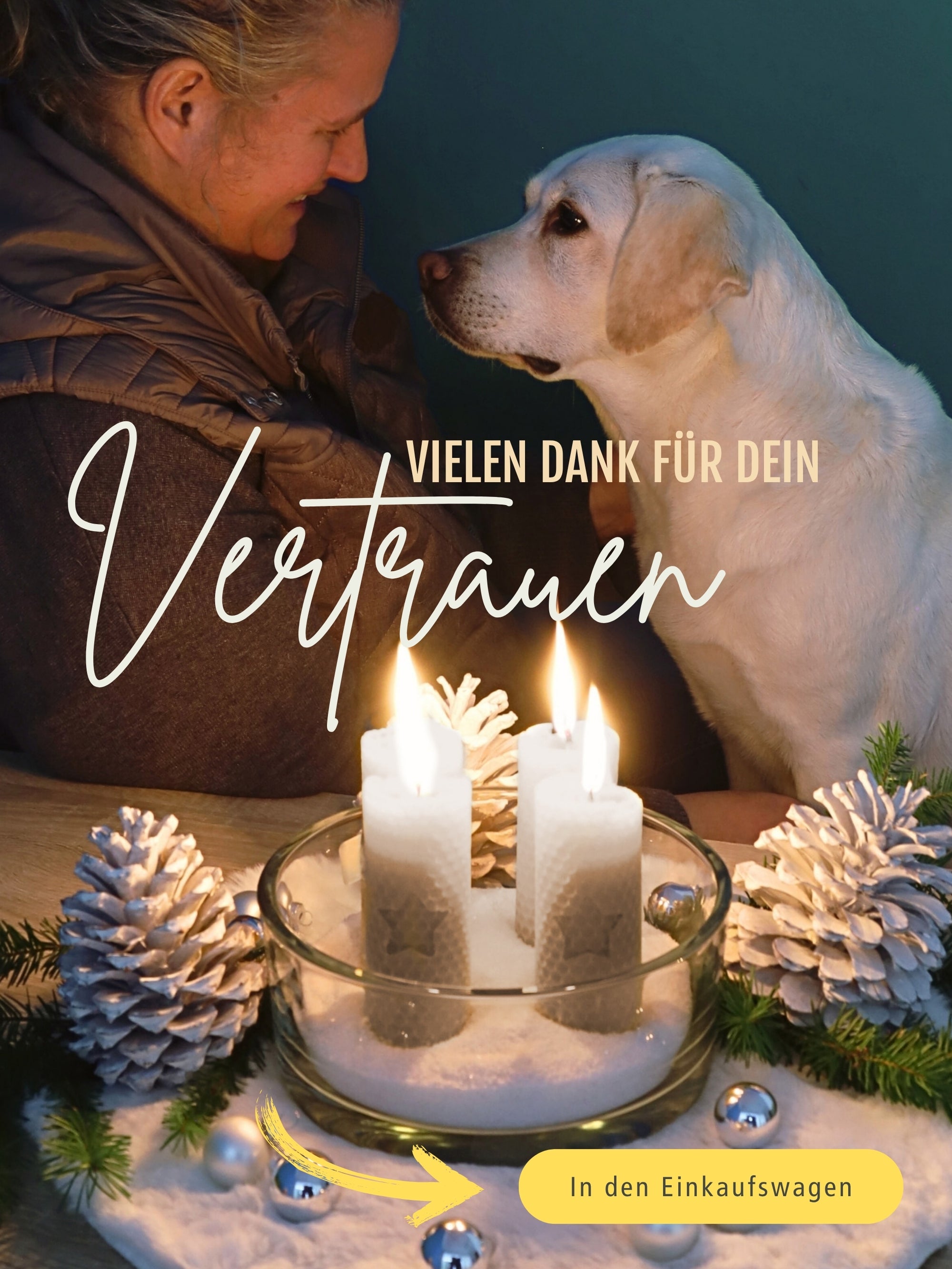 Stumpen Bienenwachsplatten, 20 Stück, 60 x 10 cm, aus Deutschland , Beige