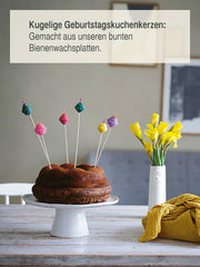 Glanzlichter - Ideen aus der Kerzenwerkstatt von Michèle Brunnmeier & Stephanie Friedrich, gebundenes Buch ,