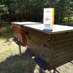 Kerzendochte 100 Stück aus Hanf mit Bienenwachs Mantel und Standfuß , 100 Stück - Ø 3 mm Länge 21 cm