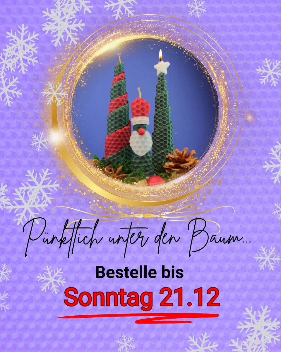 ✨ Noch schnell ein bisschen Weihnachtslicht sichern ✨