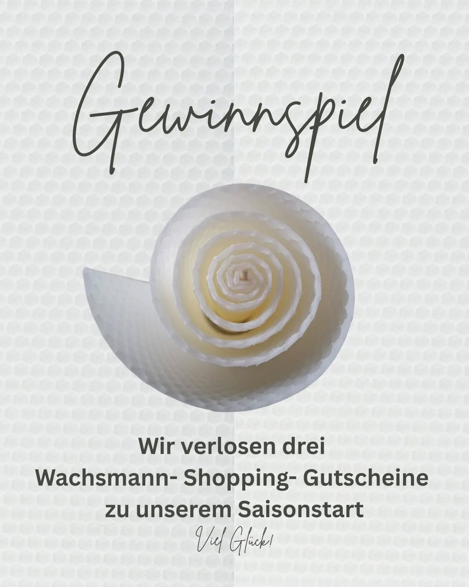 🐝✨ DIE WACHSMANN-SAISON STARTET – UND WIR HABEN ETWAS ZU FEIERN! ✨🐝